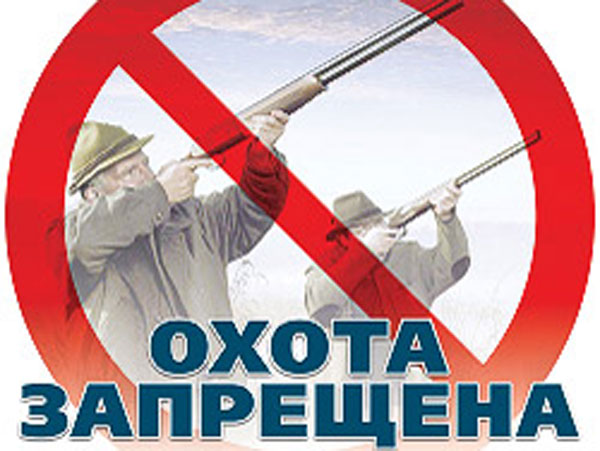 Орнитологи призывают запретить весеннюю охоту в ряде регионов