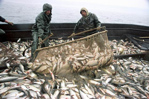 Состоялось заседание Правления Союза рыболовецких колхозов
