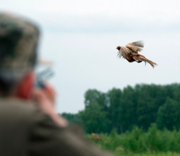 В Югре завершился сезон весенней охоты, выявлено 212 нарушений