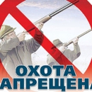Орнитологи призывают запретить весеннюю охоту в ряде регионов