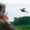 В Югре завершился сезон весенней охоты, выявлено 212 нарушений