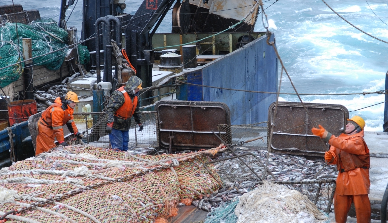 Объемы доставки уловов в Мурманск упали
