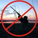 В пяти районах Якутии введены ограничения на охоту