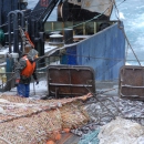 Объемы доставки уловов в Мурманск упали
