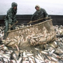 Состоялось заседание Правления Союза рыболовецких колхозов