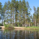 Национальные парки Украины открыты для охоты чиновникам?