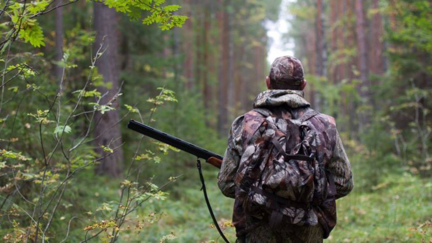 За охоту вне сроков лишают права охоты